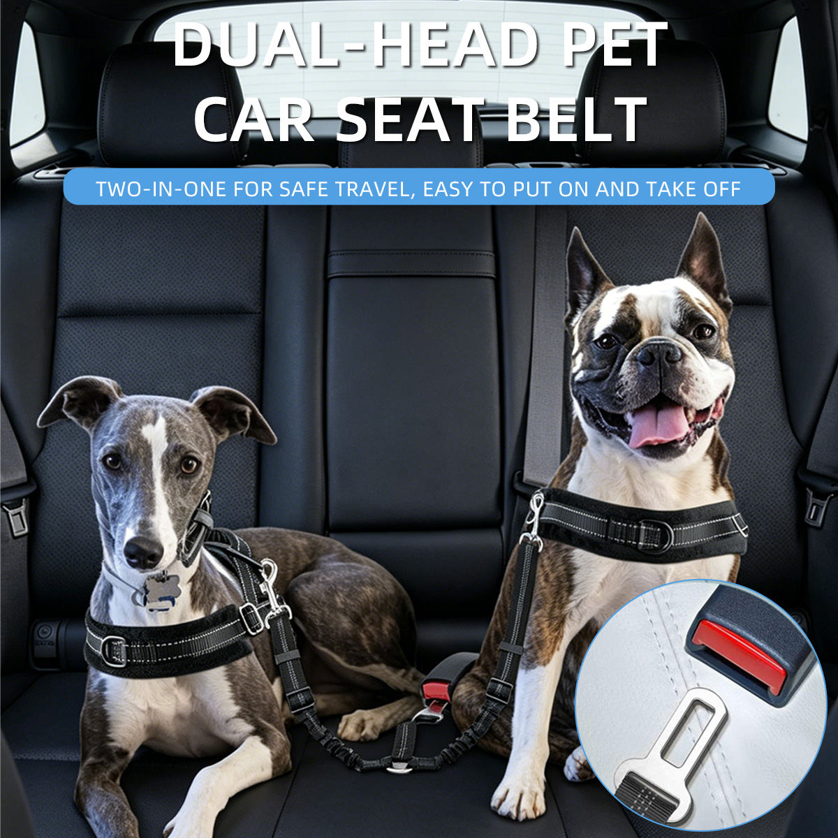 حزام أمان للحيوانات الأليفة في - مراجعة Swing Seat Belt وسعره